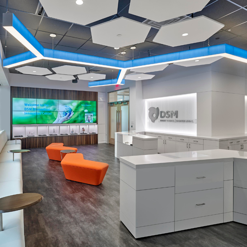 DSM Customer Innovation Center | Spring Garden Construction